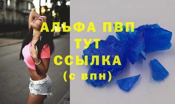стаф Арсеньев