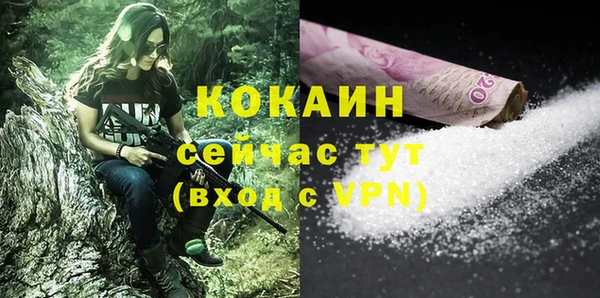 стаф Арсеньев