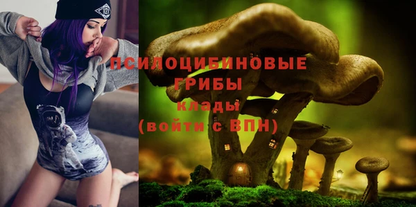 стаф Арсеньев