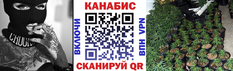 МАРИХУАНА планчик  дарнет шоп  Пучеж 
